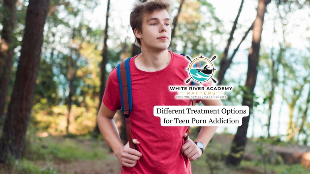 Different Treatment Options for Teen Porn Addiction