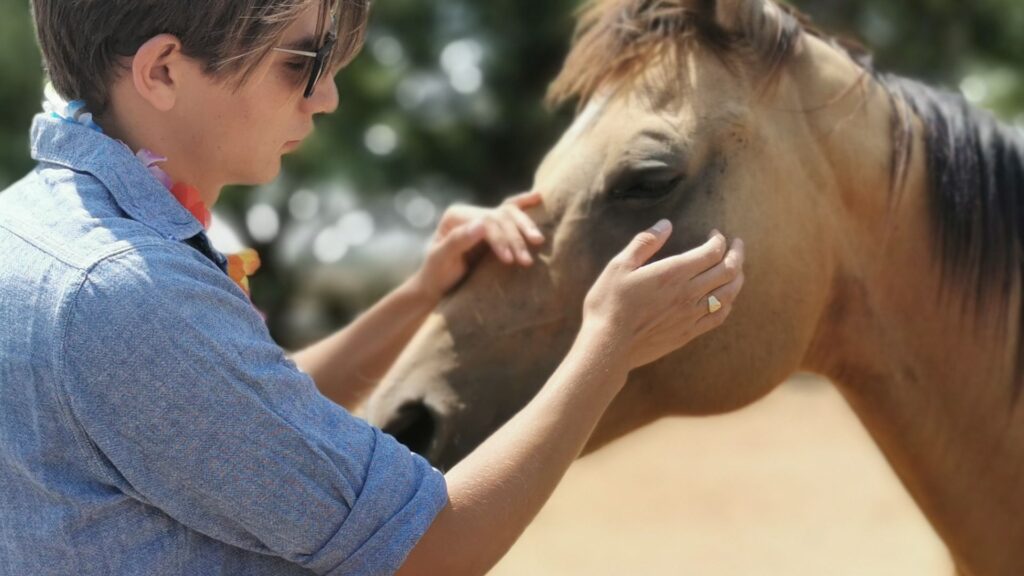 Equine therapy for adolescents