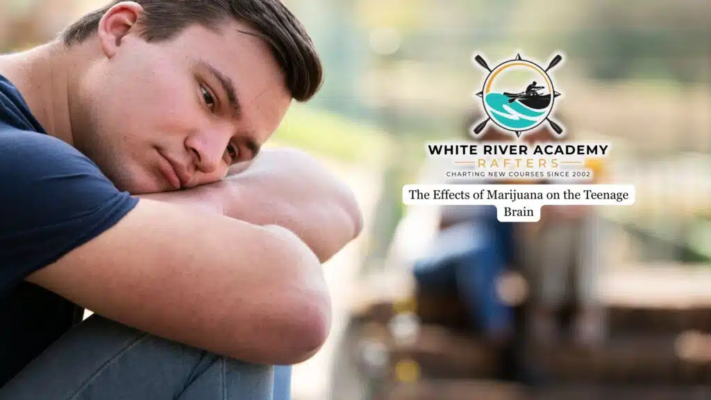 The Effects of Marijuana on the Teenage Brain 3 weed and depression in teenagers