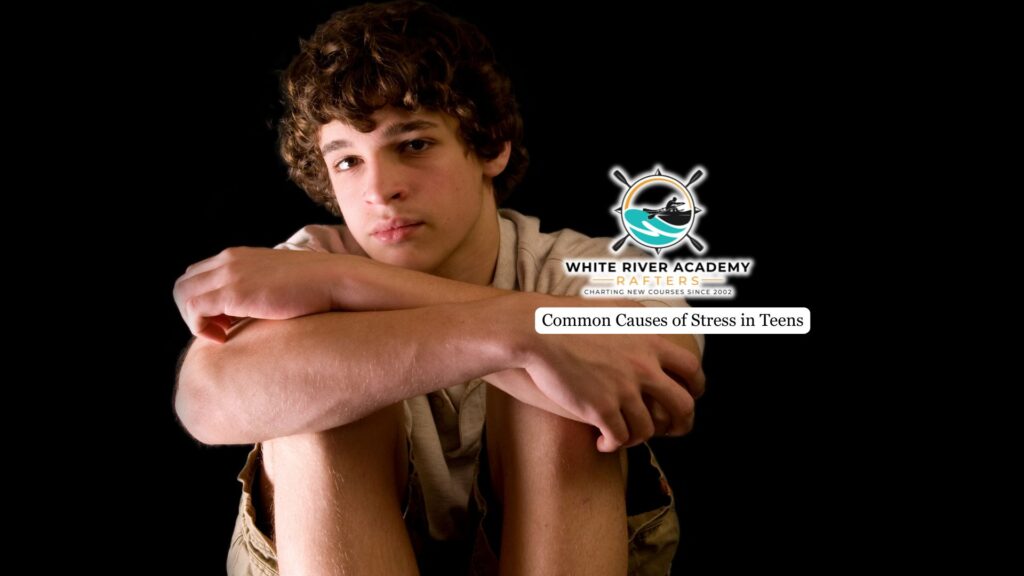 common causes of stress in teens
