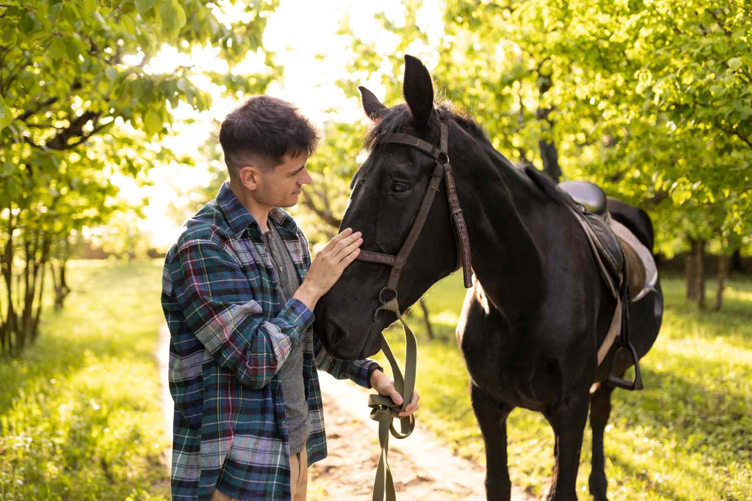 evidence-based equine therapy for teens