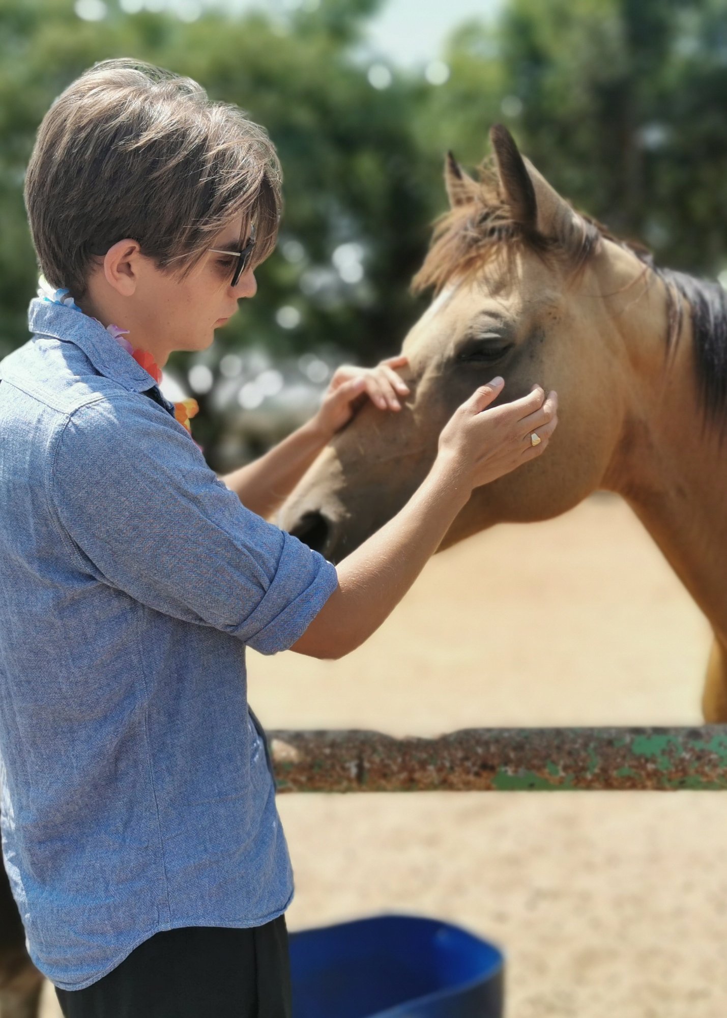 traditional therapeutic horseback riding