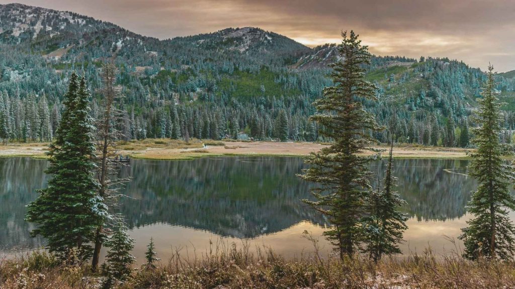 a calm scene in Utah where oppositional defiant disorder treatment options exist.