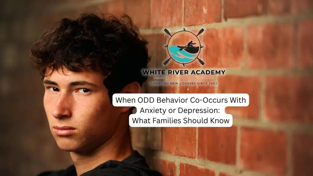 When ODD Behavior Co-Occurs With Anxiety or Depression: What Families Should Know 10 odd behavior can be difficult to isolate with everything your teenage son can be facing